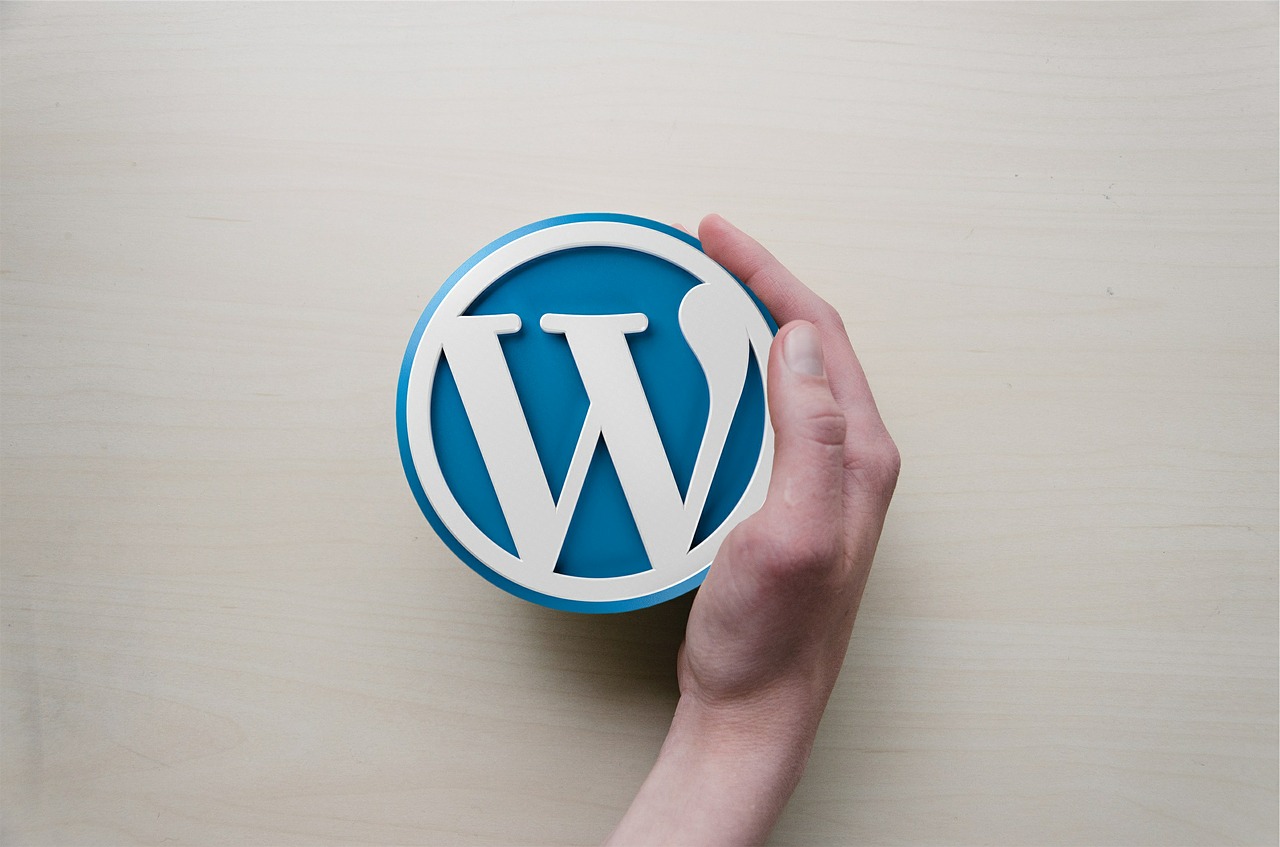 Quick WordPress Site Consultation