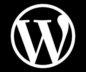 Premium WordPress Full Site Support