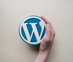 Quick WordPress Site Consultation